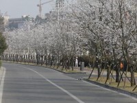 眉山職業(yè)技術師范學院歷年招生錄取分數(shù)線