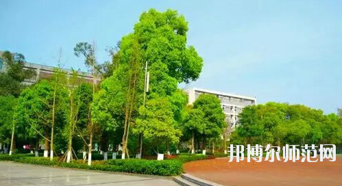 重慶市九龍坡幼師職業(yè)教育中心怎么樣、好不好。