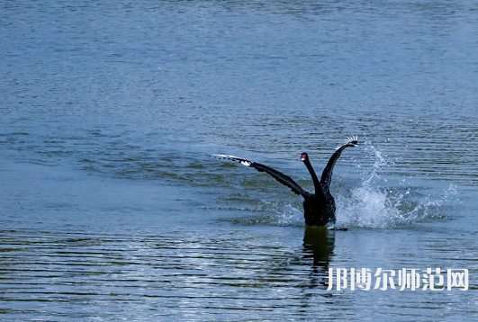 浙江師范大學2023年怎么樣、好不好