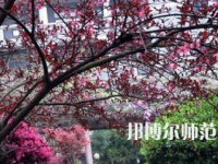 湖南第一師范學(xué)院東方紅校區(qū)2023年有哪些專業(yè)